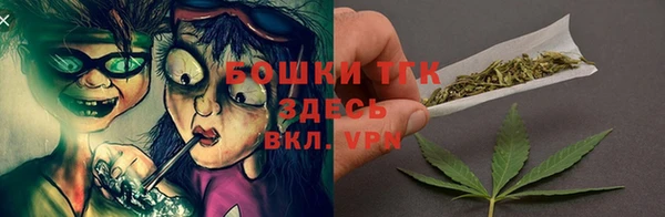 прущие грибы Вяземский