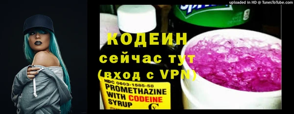 прущие грибы Вяземский