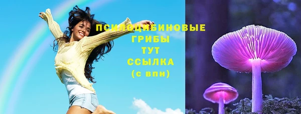 соль курить ск Вязьма
