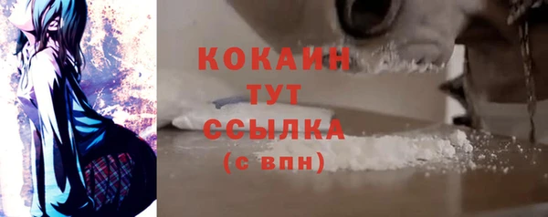 прущие грибы Вяземский