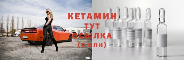 прущие грибы Вяземский