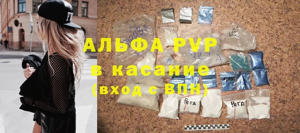прущие грибы Вяземский