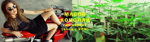 СК Горняк
